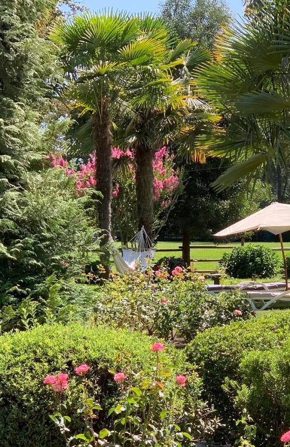 Bed & Breakfast ,Casa De Campo San Esteban,Linares Miraflores Exteriér fotografie