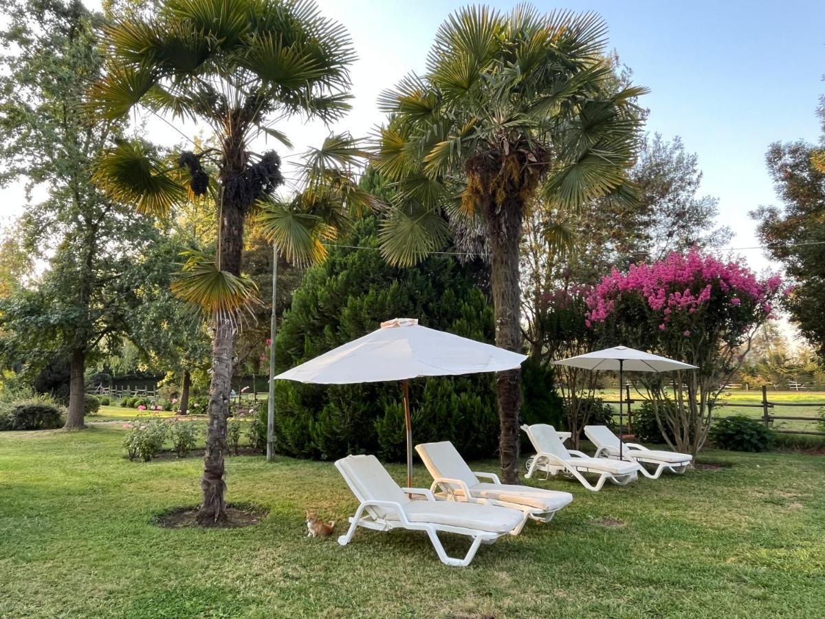 Bed & Breakfast ,Casa De Campo San Esteban,Linares Miraflores Exteriér fotografie